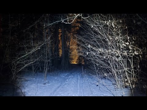 Видео: Ночная проверка капканов на куниц. Утешительный приз.