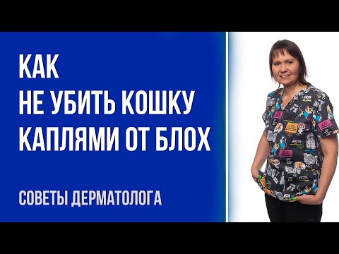 Видео: Самое большое видео об обработке кошек от блох и глистов | Интервью с ветеринаром дерматологом