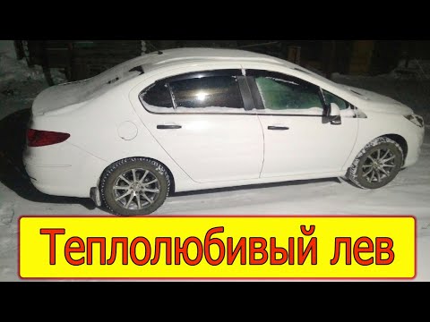 Видео: Пежо 408. Зимние поломки на 150 000км