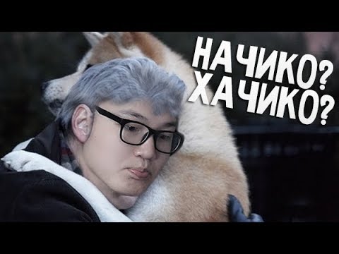 Видео: Хачикогийн шинэ түүх