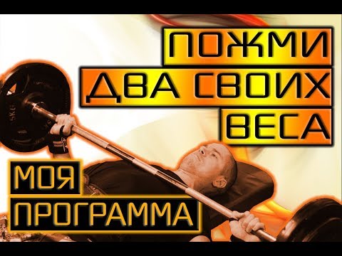 Видео: Программа на ЖИМ ЛЕЖА: Мастер Спорта на изи.