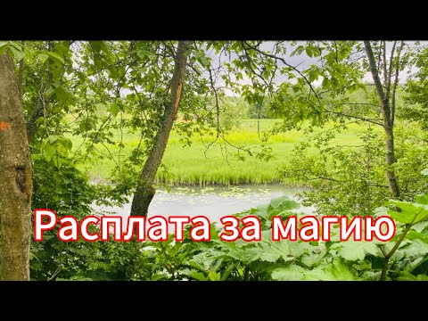 Видео: Расплата за магию.
