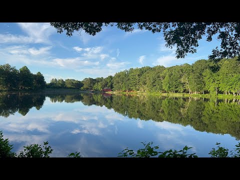 Видео: Прогуляемся По Мохеган Парк? Жизнь В Америке 🌳🏕️