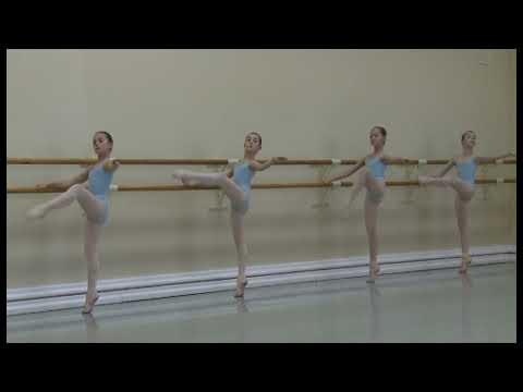 Видео: 2/6 класс Аподиакос Н.М. 1 часть