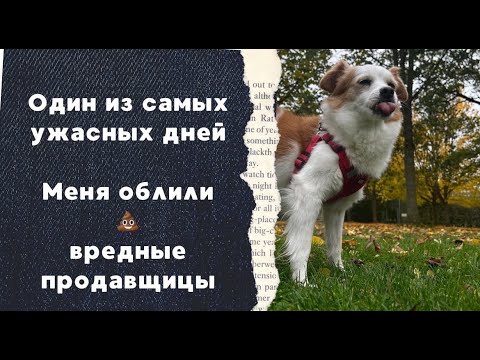 Видео: Дания🇩🇰 Один из самых ужасных дней. Меня облили 💩. Вредные продавщицы