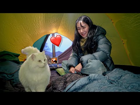 Видео: встреча гостей-кошек с дровяной печью/одиночный кемпинг/зимний кемпинг