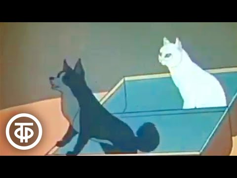 Видео: Спокойной ночи, малыши! Мультфильм "Каштанка". Выпуск 2 (1984)