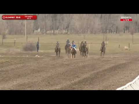 Видео: БӘЙГЕДЕН ҚАЗАҚСТАН ЧЕМПИОНАТЫ ТОП БӘЙГЕ