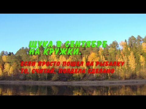 Видео: Щука в сентябре на кружки. Если просто пошел на рыбалку то, считай, полдела сделано