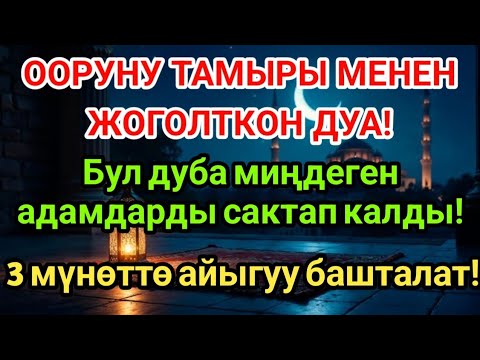 Видео: Пайгамбардын дубасы – оорунун тамырын кургатат! Дароо айыгуу келет 💖
