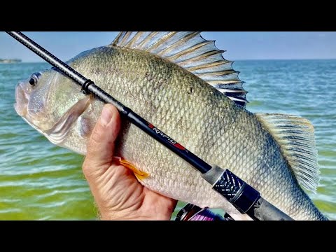 Видео: ОГРОМНЫЕ ОКУНЯ АТАКУЮТ ИЗ ПОД ЛОДКИ⛵⛵⛵!!!