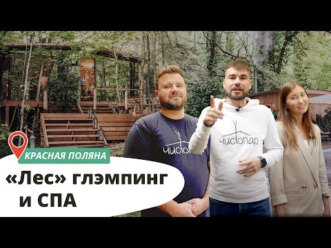 Видео: “Лес”: глэмпинг, баня и СПА в реликтовом лесу