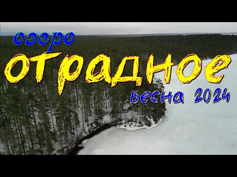 Видео: Озеро Отрадное. Весна 2024.