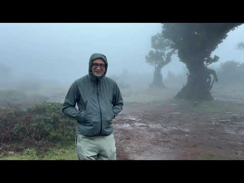 Видео: МАДЕЙРА ЗИМОЙ. СТОИТ ЛИ ЕХАТЬ?