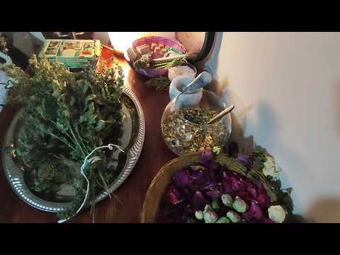 Видео: Введение в травничество: Как начать и что нужно знать.