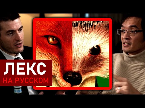 Видео: Два способа мышления: Ёж против Лисы - Специалист против универсала | Теренс Тао