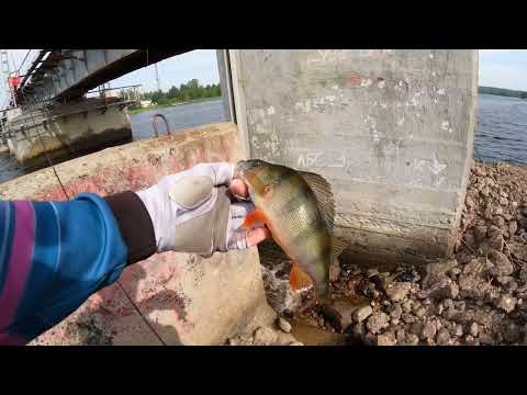 Видео: Рыбалка в Выборге. Судак и окунь на джиг. Стритфишинг. #fishing #travel #nature