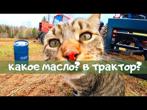 Видео: Кот-тракторист, чистка поля от деревьев,  какое масло заливать в двигатель мтз 82, поилка для коров