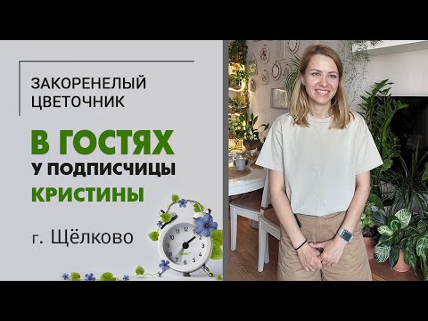 Видео: Зеленая квартира за 2 года. В гостях у Кристины г. Щелково. Хлорофитумы и ампельные растения. Румтур