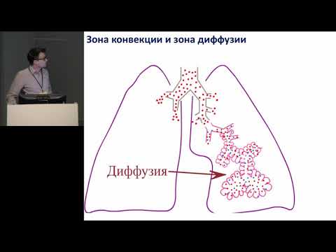 Видео: Патфизиология газообмена при ХОБЛ Кулаков В Ф 2019