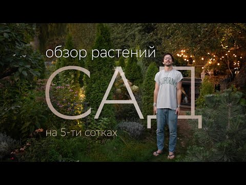 Видео: ОБЗОР РАСТЕНИЙ на участке