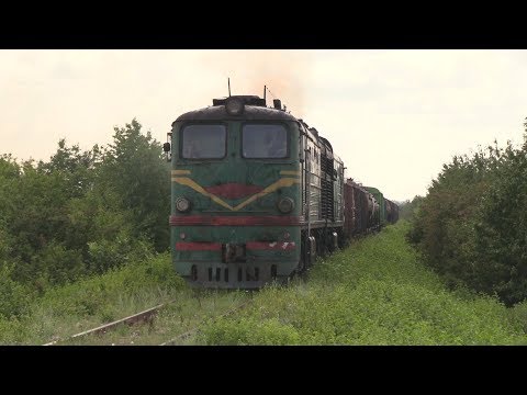 Видео: Тепловоз 2ТЭ10Л-1250А/792А в траве / 2TE10L-1250A/792A in grass
