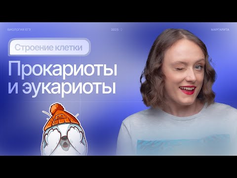 Видео: Строение клетки. Прокариоты и эукариоты | БИОпесочница | ЕГЭ-2025 по биологии