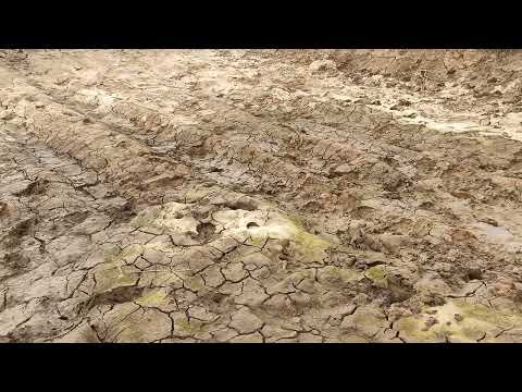 Видео: Пруд для раков, итоги сезона 2022