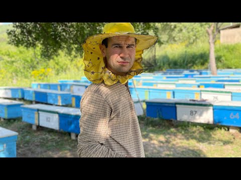 Видео: КУП АСАЛ ОЛИШ СИРИ ва РОЙ МАСАЛАСИ...