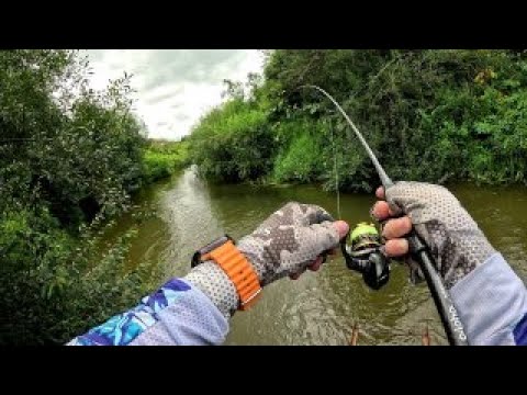 Видео: Рыбалка на микроречке с CF Alpha 662. Smith Essential затащил эту рыбалку. Голавль на спиннинг