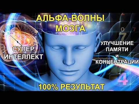 Видео: АЛЬФА ВОЛНЫ для МОЗГА🧠: мгновенно улучшают Память и Интеллект🧠. Медитация для головного мозга
