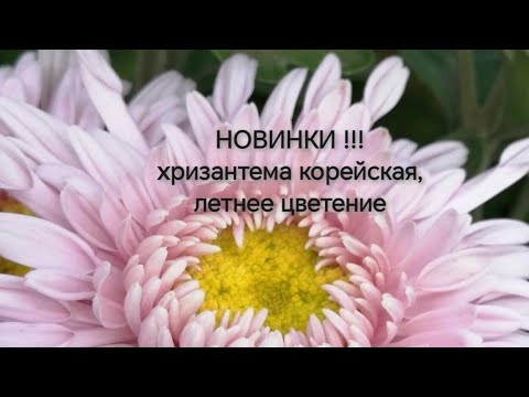 Видео: НОВИНКИ - ранние сорта, цветение !