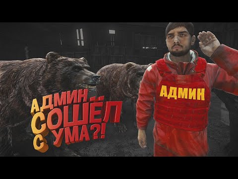 Видео: АДМИНЫ СОШЛИ С УМА? - DayZ 4K