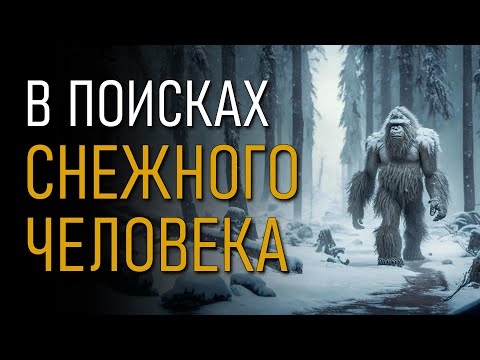 Видео: В поисках снежного человека. Игорь Бурцев