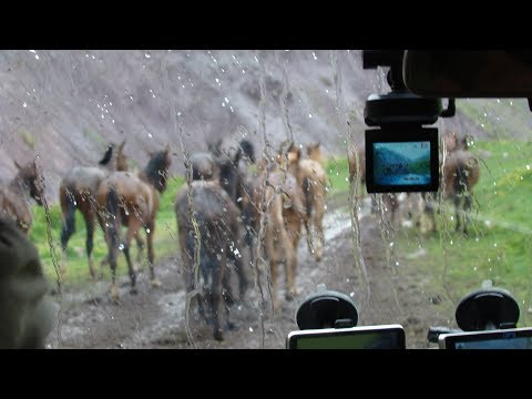 Видео: Ущелье Кегеты / Kegety. Kyrgyzstan