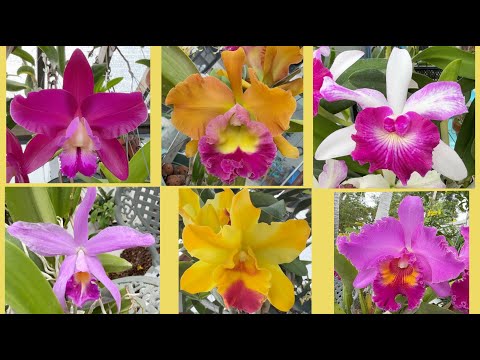 Видео: Пытаюсь не отставать