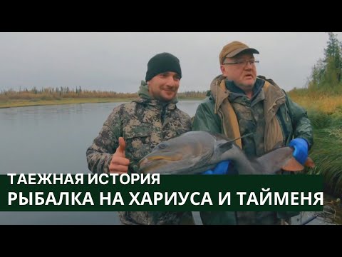 Видео: Рыбалка на хариуса и тайменя // Таежная история / Cерия 4