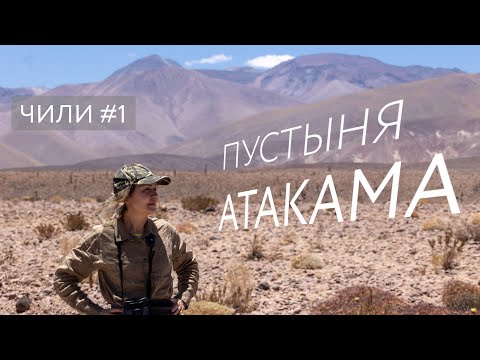 Видео: Путешествие по Чили. Часть №1. Пустыня Атакама.