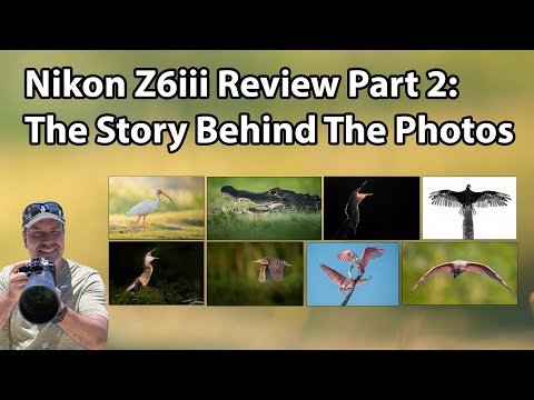 Видео: Nikon Z6iii — история создания фотографий (золотая жила полевых методов)