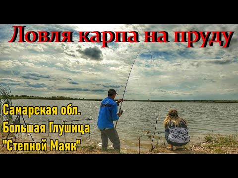 Видео: ЛОВЛЯ КАРПА НА ПРУДУ/САМАРСКАЯ ОБЛ/БОЛЬШАЯ ГЛУШИЦА -СТЕПНОЙ МАЯК/РЫБАЛКА НА УДОЧКУ И ФИДЕР/КАРП 2025