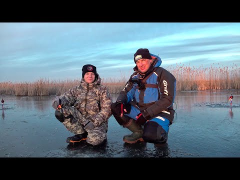 Видео: 10 ЛЕТ ЖДАЛ ТАКУЮ РЫБАЛКУ! Наконец то на льду с сыном. Рыбалка на безмотылку