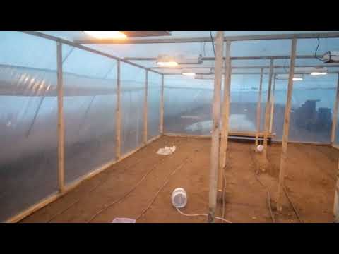 Видео: Рассадник для рассады огурца