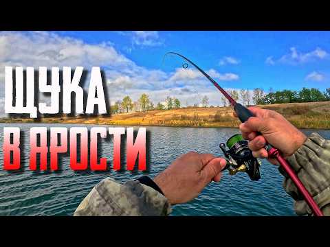 Видео: 🔴 ЭТО НЕ ВОБЛЕР, ЭТО ВЫЗОВ! Бесим щуку крупным воблером! 😱💥🔥