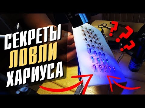 Видео: Секреты ловли Хариуса. Как вязать уловистые мушки?