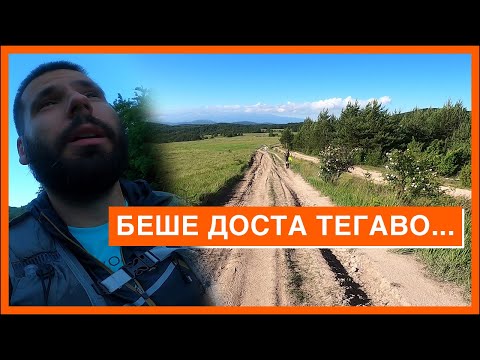 Видео: ВИТОША 100 БЕЗ ПОДГОТОВКА