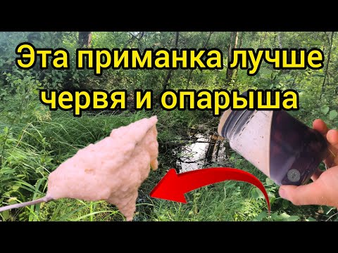 Видео: КАРАСЬ В ОКТЯБРЕ КЛЮЁТ НА ЭТО ПО 20 КГ В ЧАС.РЫБАЛКА В ОКТЯБРЕ НА ПОПЛАВОК.