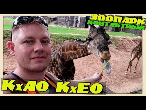 Видео: Кхао Кхео Открытый Зоопарк/ Khao Kheow Open Zoo/Фотосессия/Паттайя/Шоу животных/