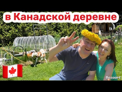 Видео: Жизнь в канадской деревне ￼