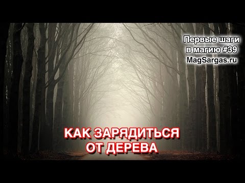 Видео: Природная Магия - Как Зарядиться от Дерева - Маг Sargas