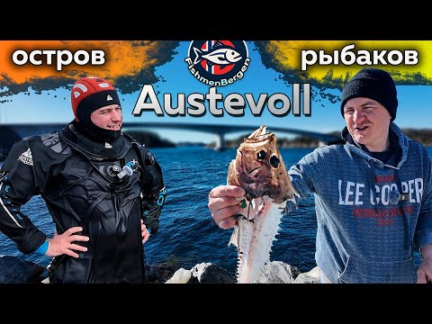 Видео: Дайвинг на острове Austevoll  Путешествуем по Норвегии ловим рыбу.